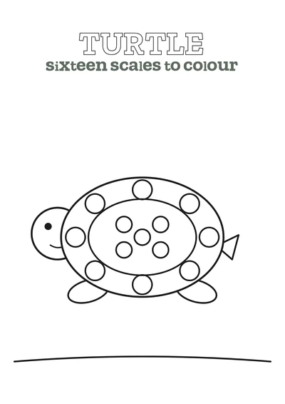 Patterned Turtle